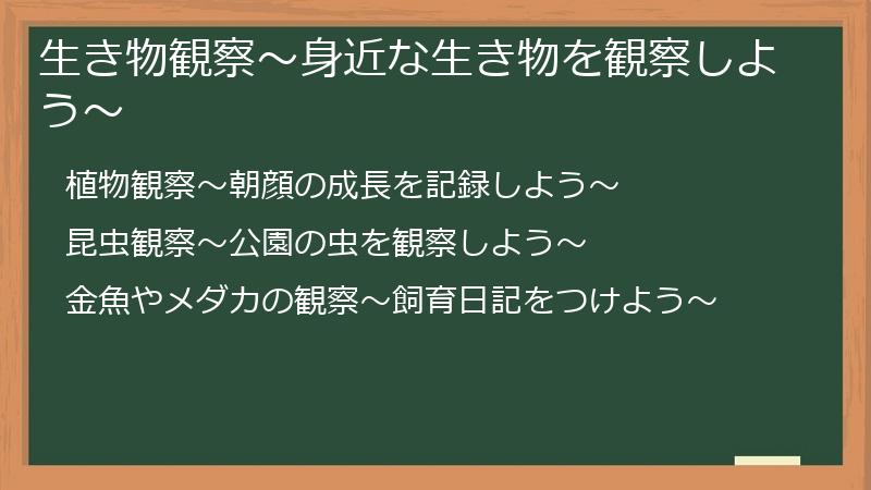 生き物観察〜身近な生き物を観察しよう〜