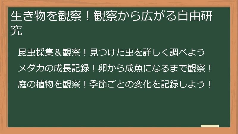 生き物を観察!観察から広がる自由研究