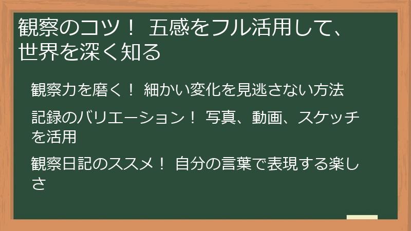 観察のコツ！ 五感をフル活用して、世界を深く知る