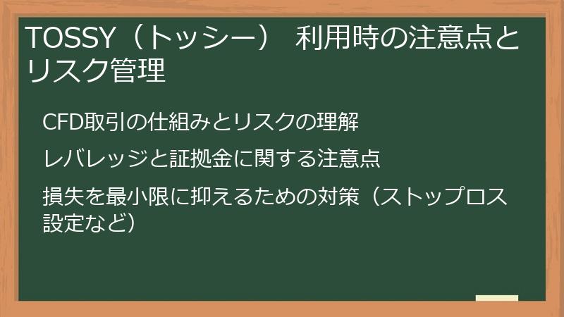 TOSSY（トッシー） 利用時の注意点とリスク管理