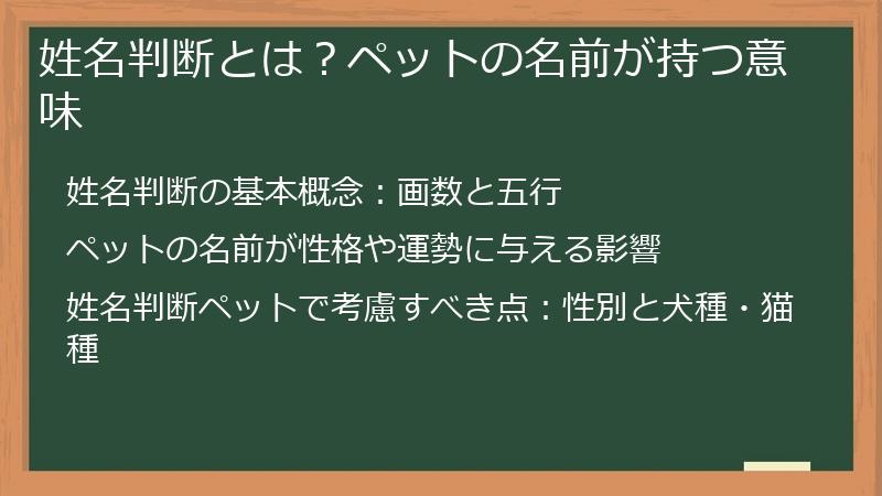 姓名判断とは？ペットの名前が持つ意味