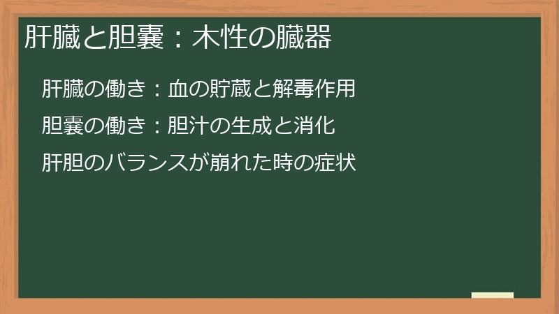 肝臓と胆嚢：木性の臓器