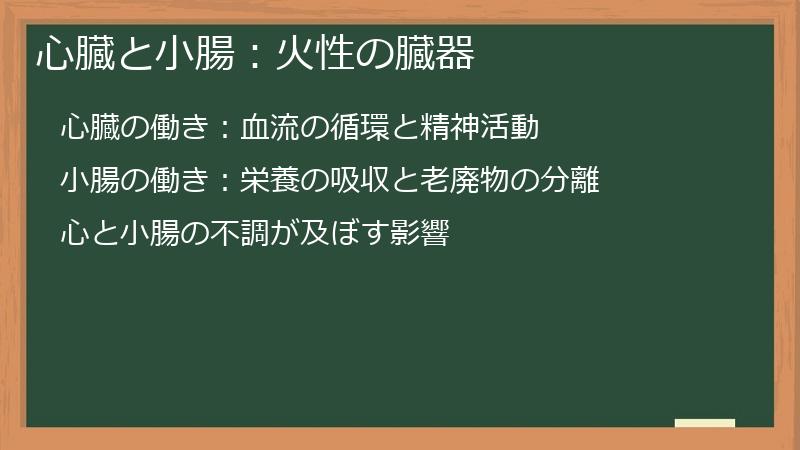 心臓と小腸：火性の臓器
