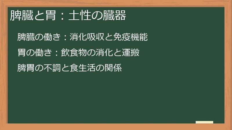 脾臓と胃：土性の臓器